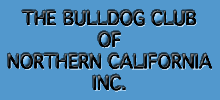 The Bulldog Club of Northern California, Inc.