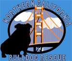Northern California Bulldog Rescue